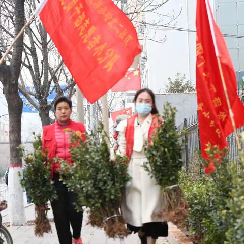 同植一片绿，共建一个家，企地共建美好家园