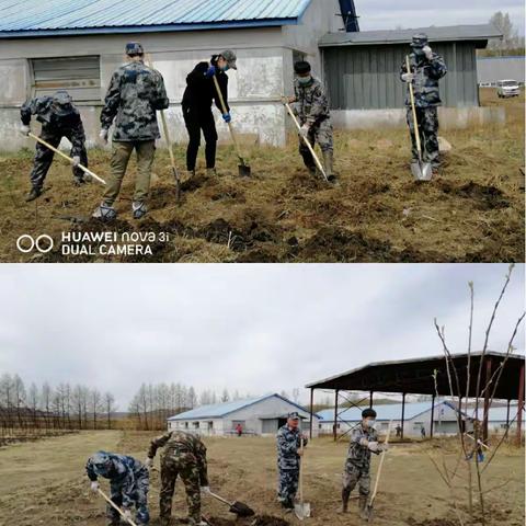 莫道兴安春事晚  增妆添翠植树来        — 农林科学院开展春季植树活动