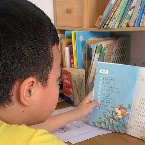 木罗小学191班“书香伴我乐成长”暑期阅读活动分享