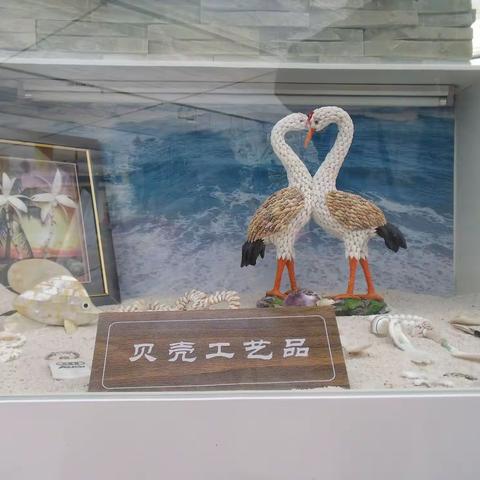 长春农博园贝壳展