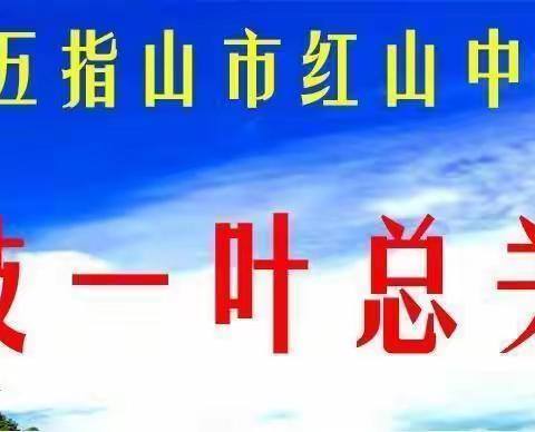 科研兴学 以研促学 —— 红山中心学校科学教研活动简报