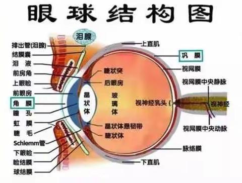 科学防控近视 共筑光明未来