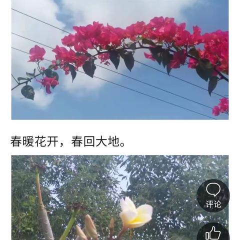 我和春天有个约会