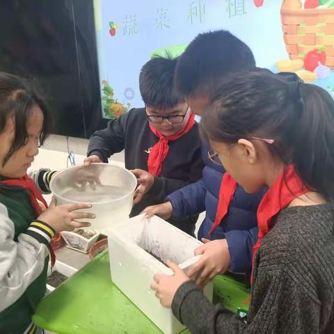 播下一抹绿 快乐伴成长  四（5）中队