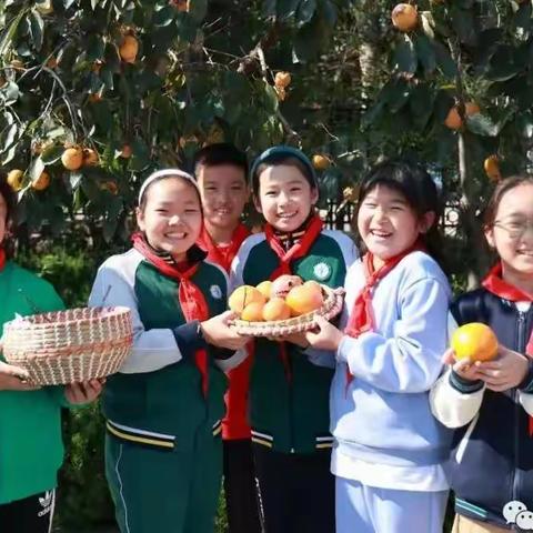 采摘果实 链接生活—— 记4.5班校园采摘