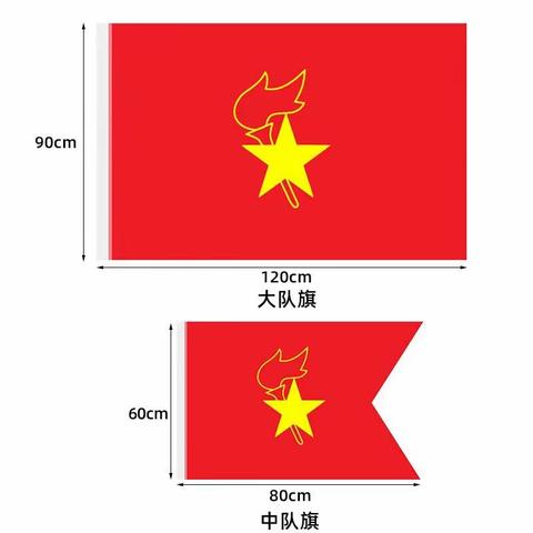 少先队旗扬梦想，争做时代好少年。——高新区实验小学少先队入队