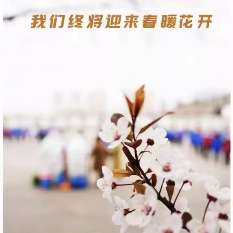 以“练”筑防 战“疫”到底——赵庄镇童之馨幼儿园第三轮核酸检测演练活动