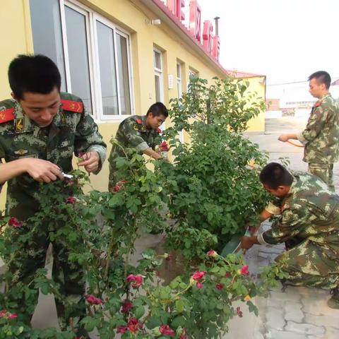 回望军旅（53）笨文书
