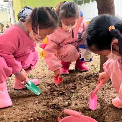 中三班四月家园共育——科学探索之旅