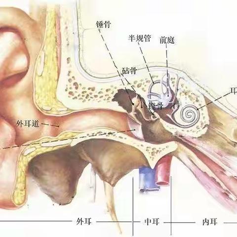 有一种头晕，叫耳石症          有一位医生，手到病除