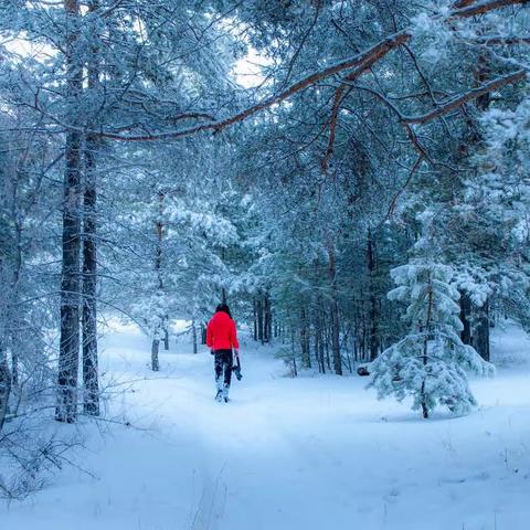 凇枝白雪欲争春 银图景色画诗神