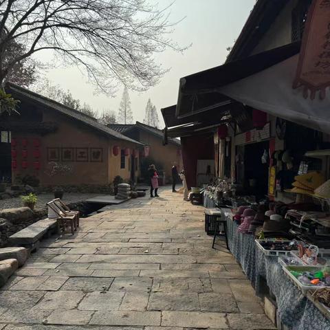 2024年冬日姐弟姐妹一路向南