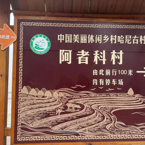 2025年3月云南游（四）