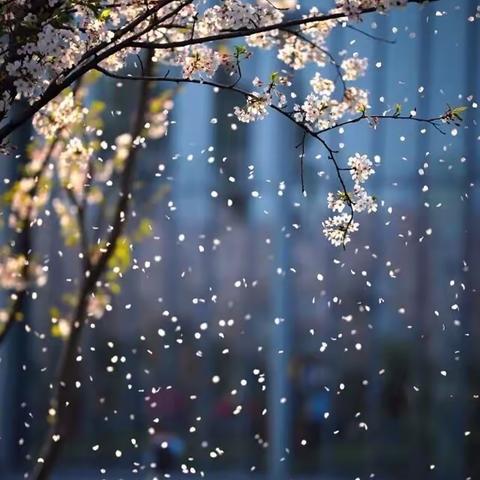 绿树阴浓里遇见美好——济水西街学校一～三年级开学第一节心理课