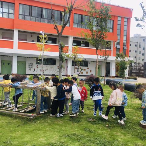 幼儿园我来了，小38班成长手册（2）