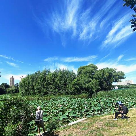 美丽的蓝天白云