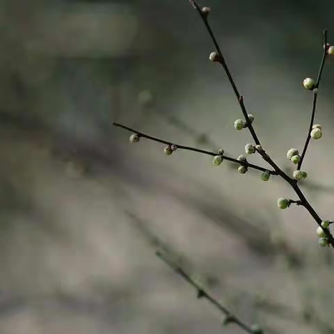 时光如川浪淘沙        青史留名多俊杰