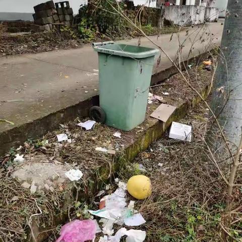 花亭街道花亭村委会农村生活垃圾治理暗访督查问题整改情况