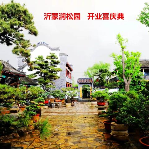 沂蒙润松园   开业喜庆典