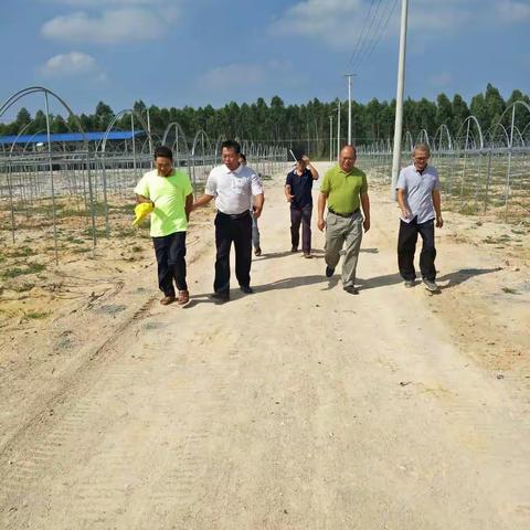 共谋发展高效节水农业，促进农民增收