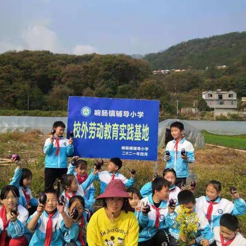 响肠辅导小学401班校外基地简报