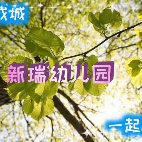 🌻🌻新瑞幼儿园“宅”生活第二十二期🍀🍀豆包二班🍀🍀