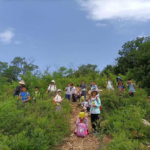 三山连爬 山上的路 每一步都算数——夏季营第七期活动回顾