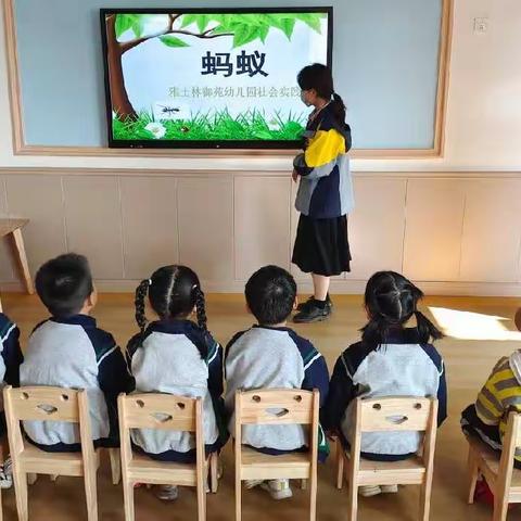 雅士林御苑幼儿园社会实践活动——蚂蚁寻觅之旅