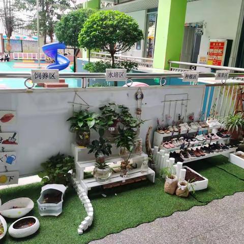 小二班植物角