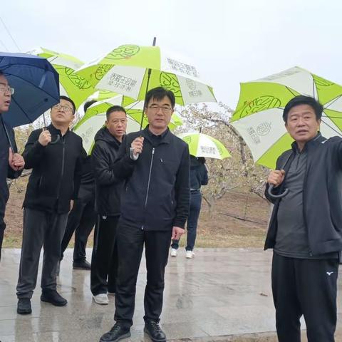 隰县赴砀山县考察学习梨果全产业链发展先进经验