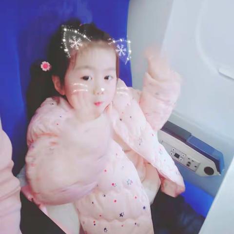 满宝第二次飞机旅行