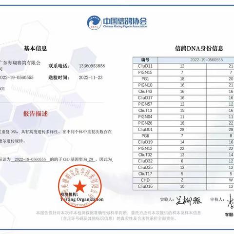 广东海翔（秋棚）决赛501-600名DNA身份信息