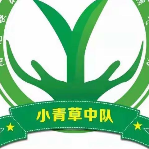 乐清市乐成第二小学四（2）班小青草中队暑托语文核心素养提升主题活动——作业源于生活， 巧手展出精彩