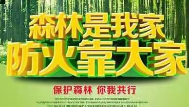 七二班森林防火主题班会