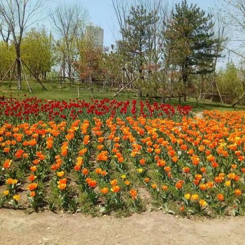 最美人间四月天，不负春光与时行——高二二级部召开“备战期中考试”主题班会