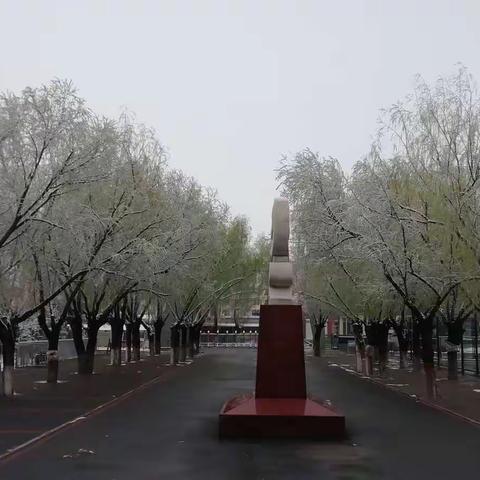 谷雨过后再无寒，人间芳菲已向暖