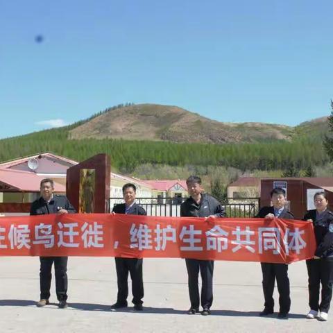 野生动植物保护检测科开展第三届“爱鸟周”宣传活动