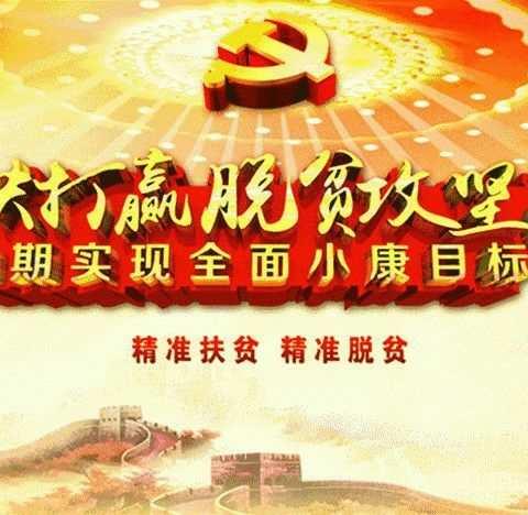 抓好“四合一”核验收官之战，决胜脱贫攻坚！