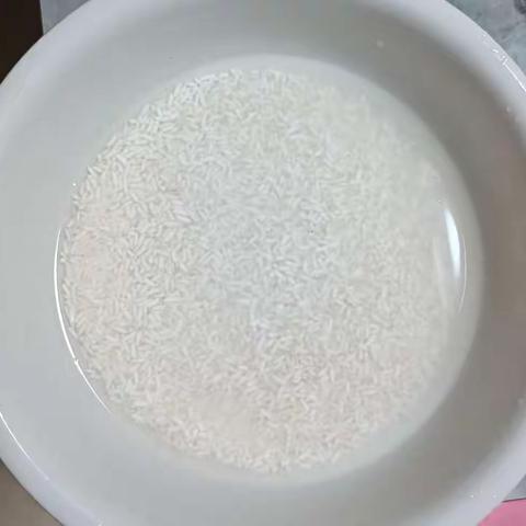 生物实践作业（1）——制作米酒