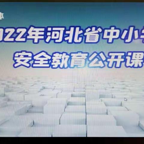 生命只有一次，安全伴我成长——城杨庄小学收看河北省安全教育公开课纪实