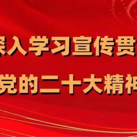 学习党的二十大精神