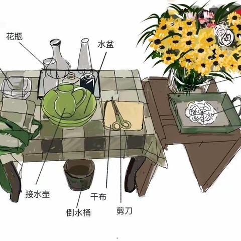 照顾植物