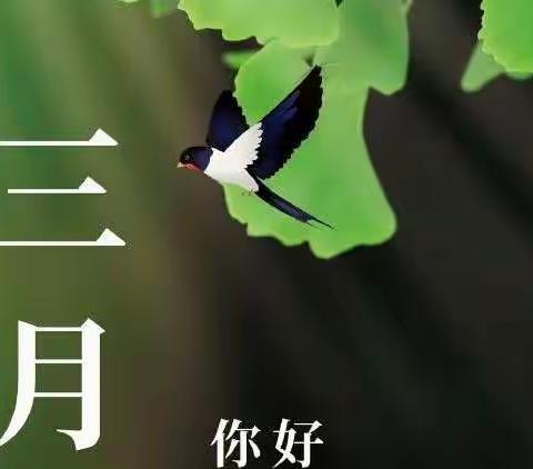 【育才小学新教育每月一事】三月主题🌱绿色•环保•公益——六年级各班活动总结