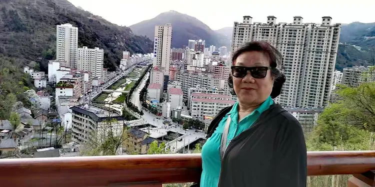 杜鹃花哪里买