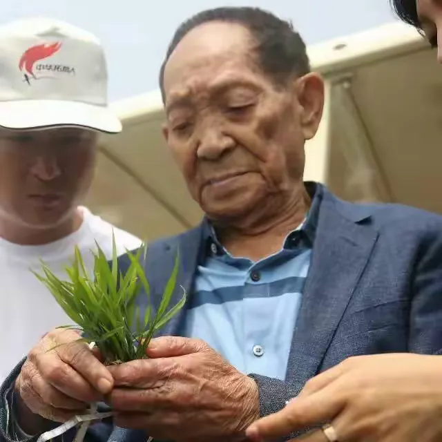 水稻之父……袁隆平