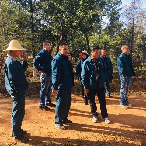 昆钢经济运行部相关领导到浩绿公司高山苗圃检查指导