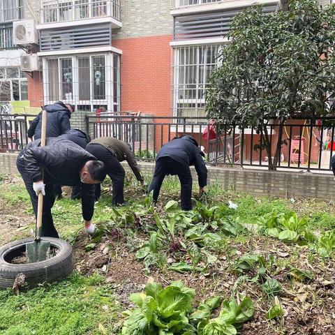 【创建文明城市】拔菜还绿，营造文明家园