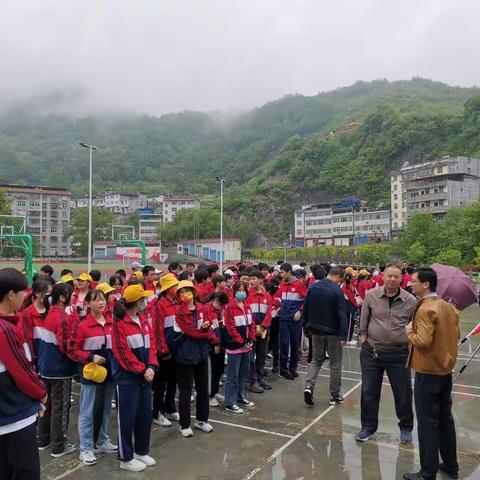 走进五峰茶厂，品味神奇的“东方树叶”