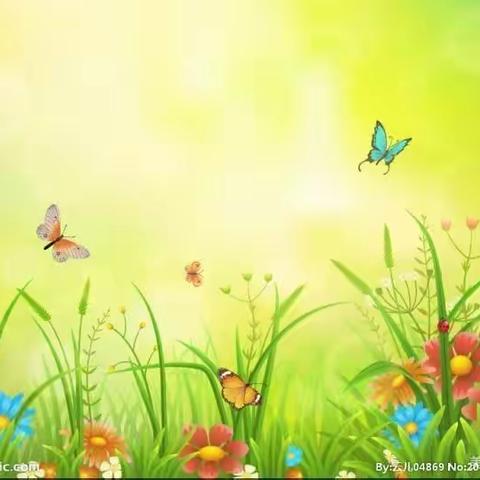 中五班社会实践—《走进公园，寻找春天》