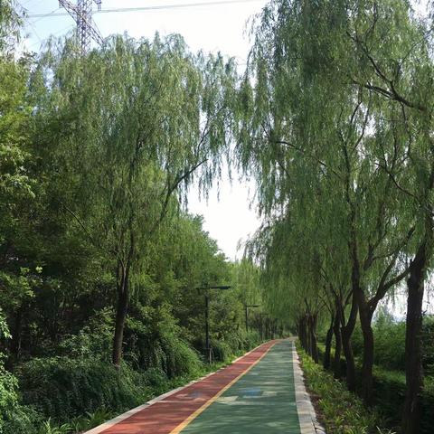 游西洛浦小记